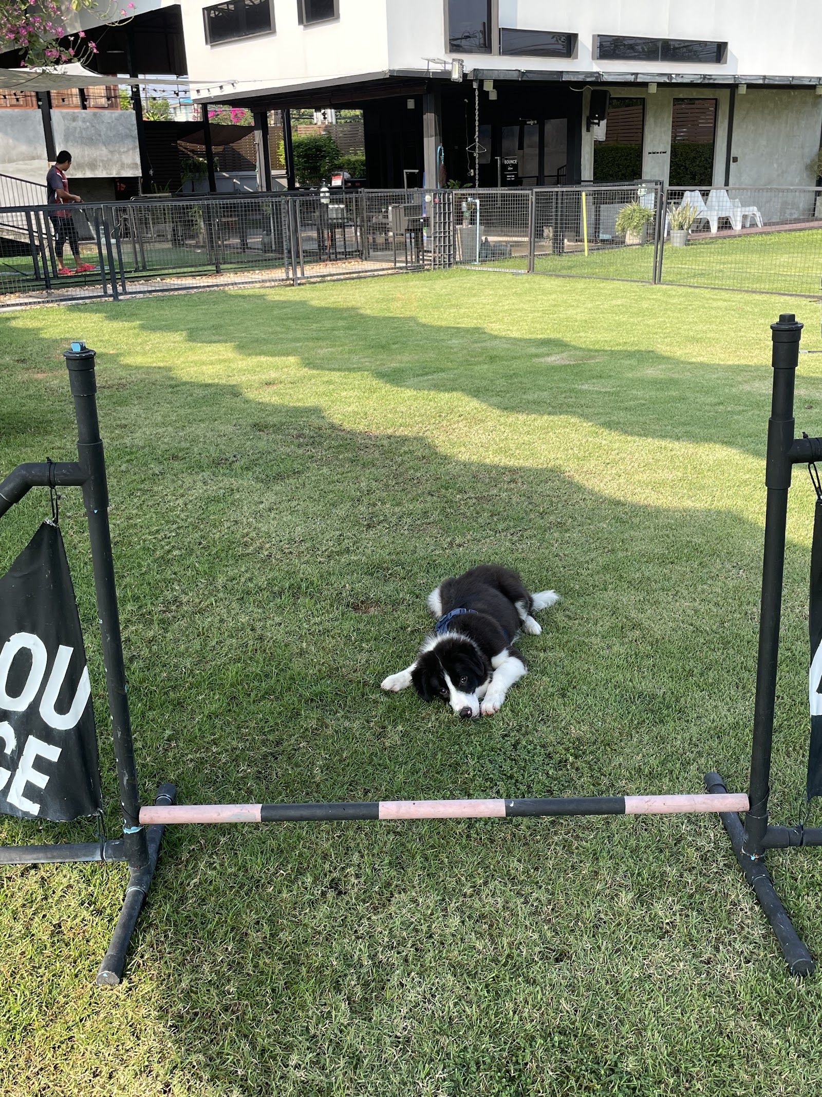 BOUNCE DOG SPORT CENTER