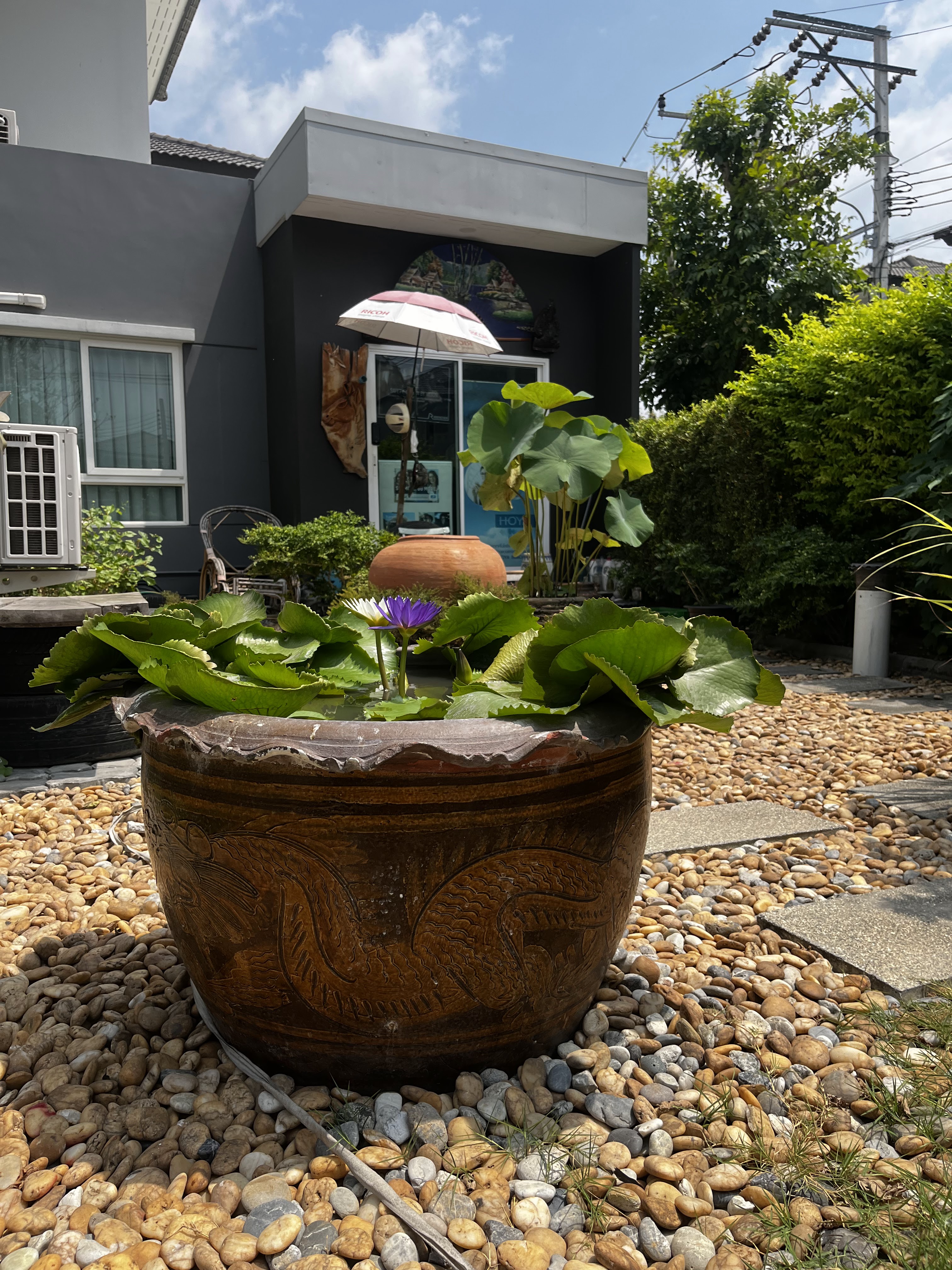 Centro Bangna Km.7