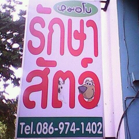 Doctor Bo Veterinary Clinic & Pet Shop, Grooming, Boarding