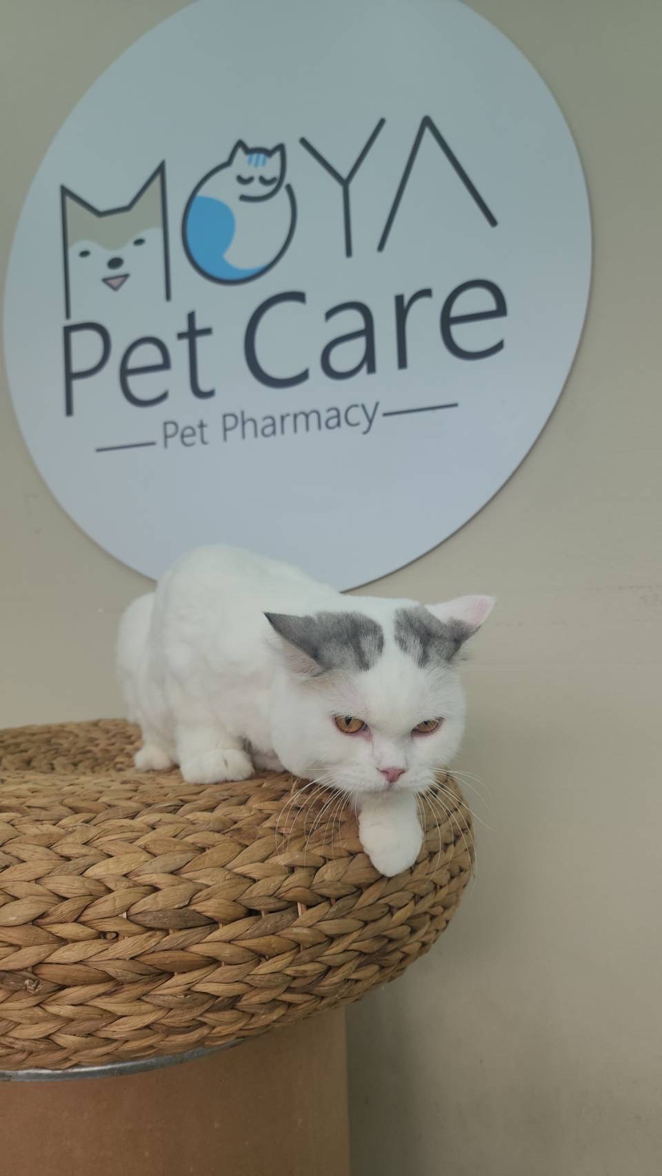 MOYA Pet Care) 3