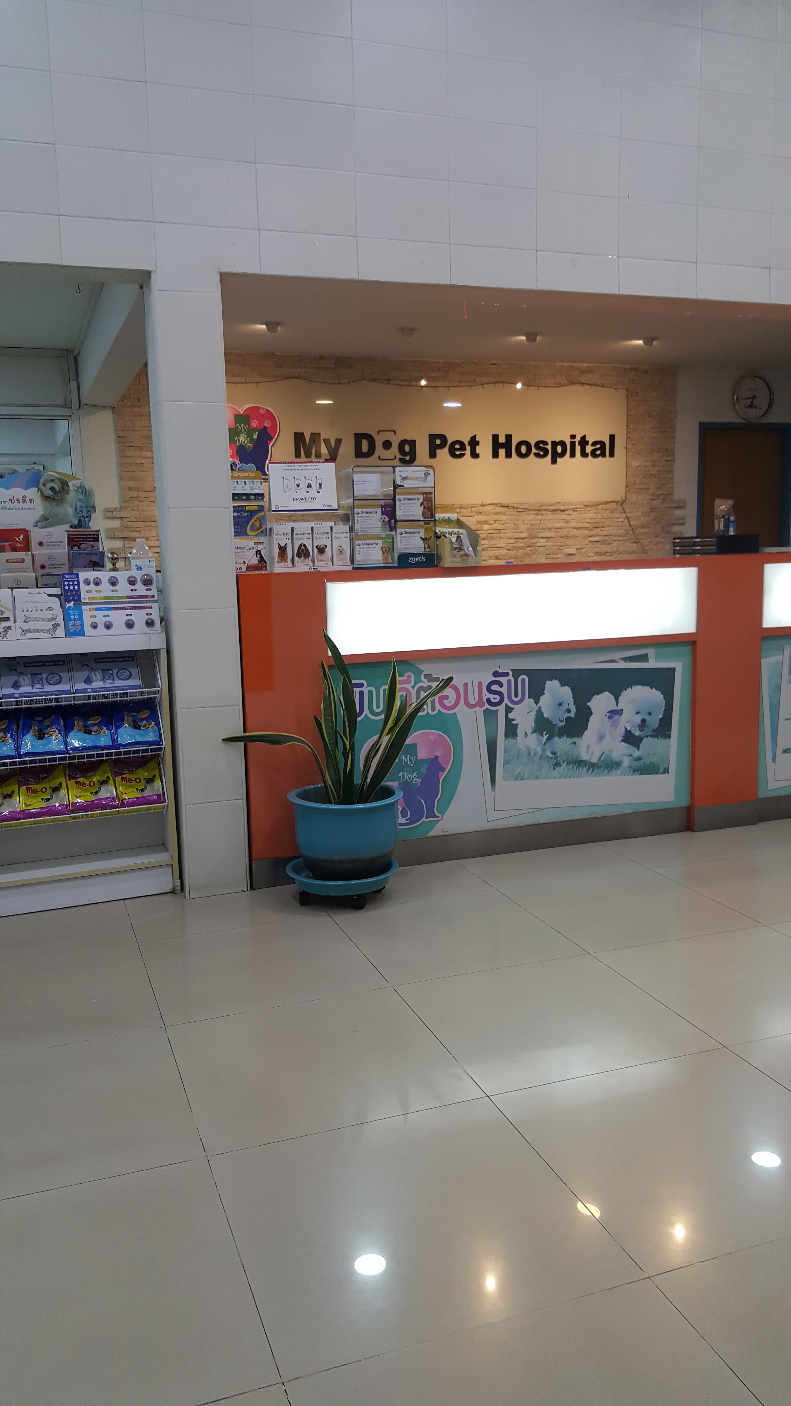 My Dog Animal Hospital