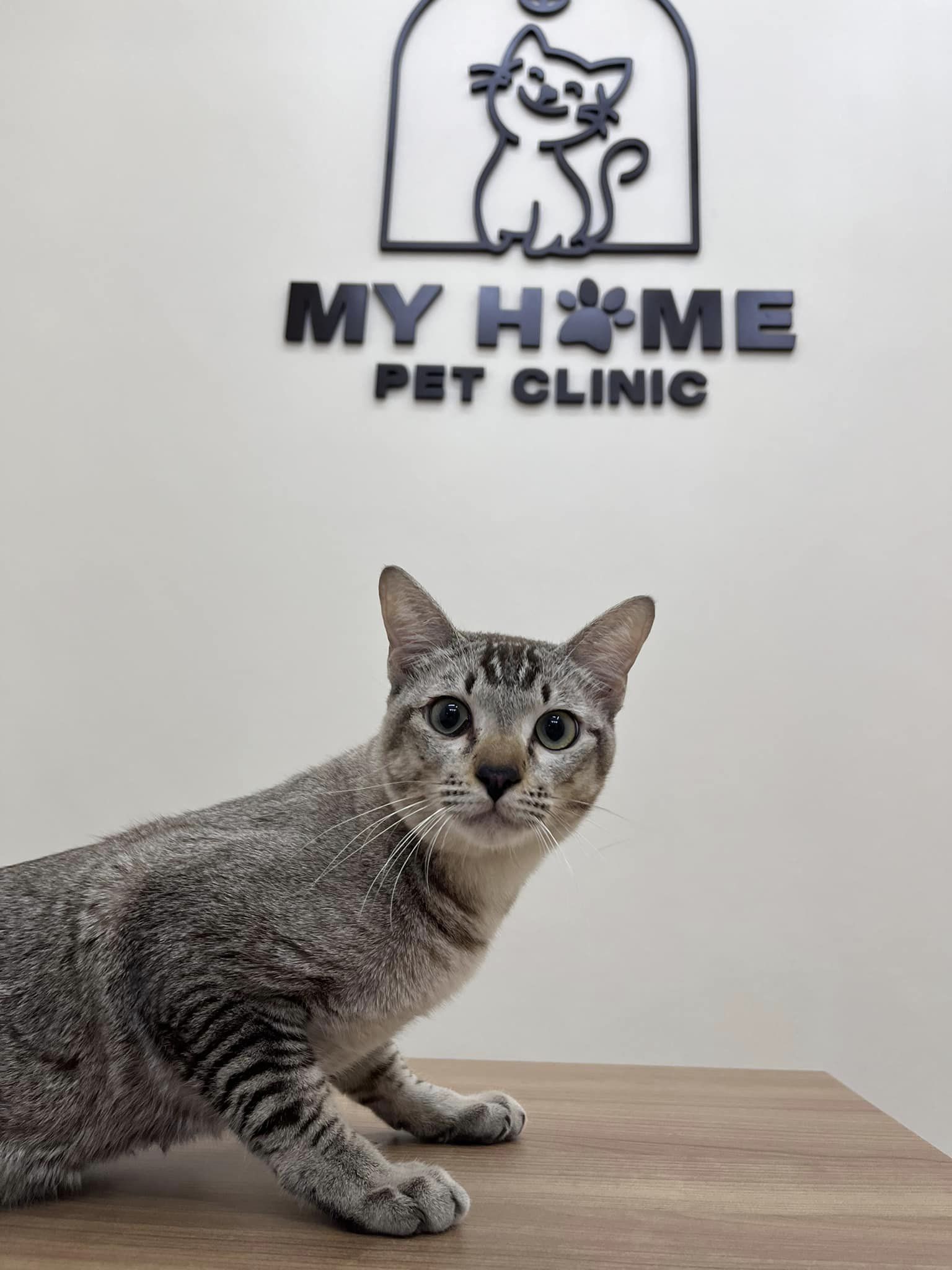 Myhomepetclinic