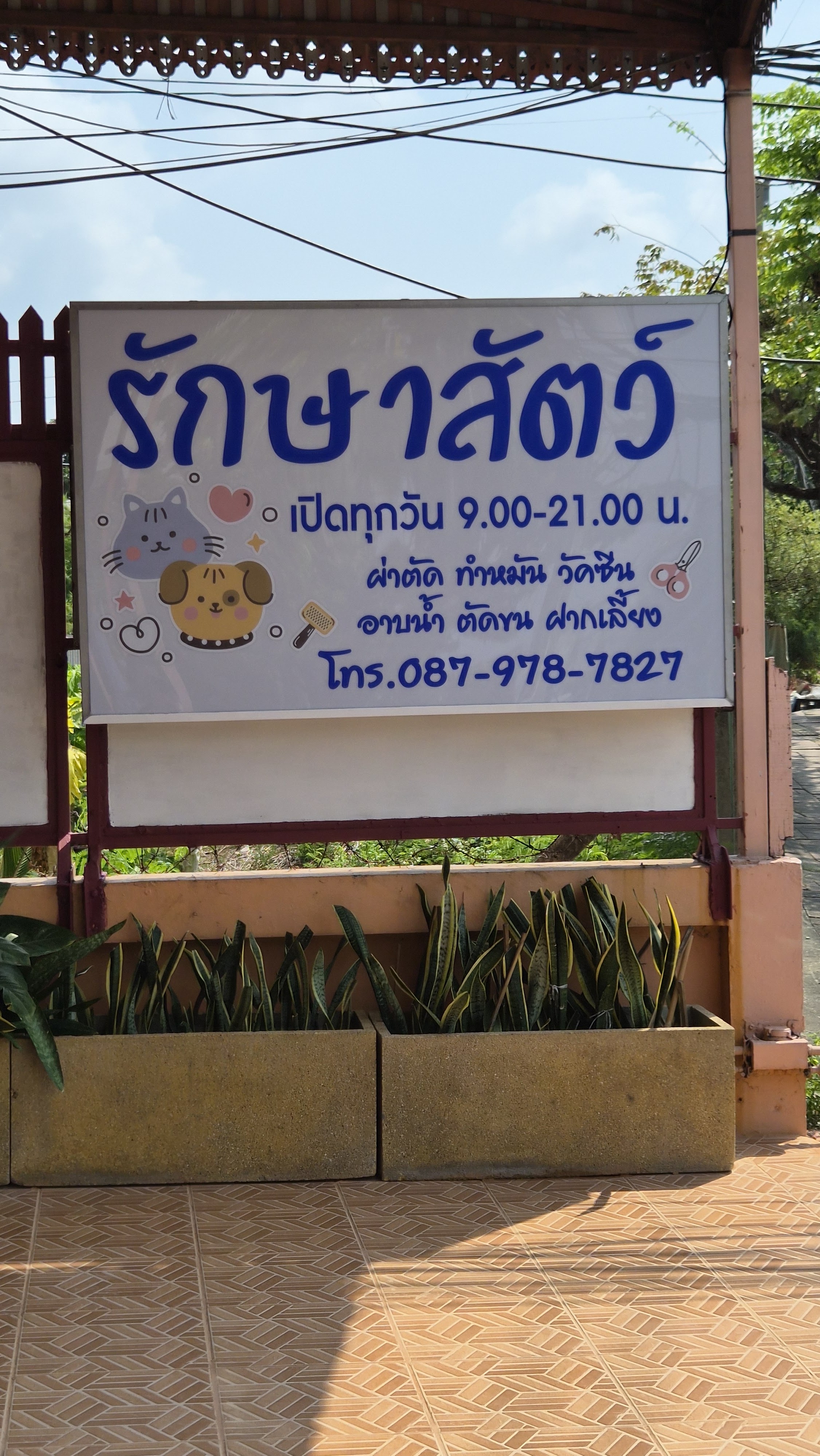 Pet Polyclinic