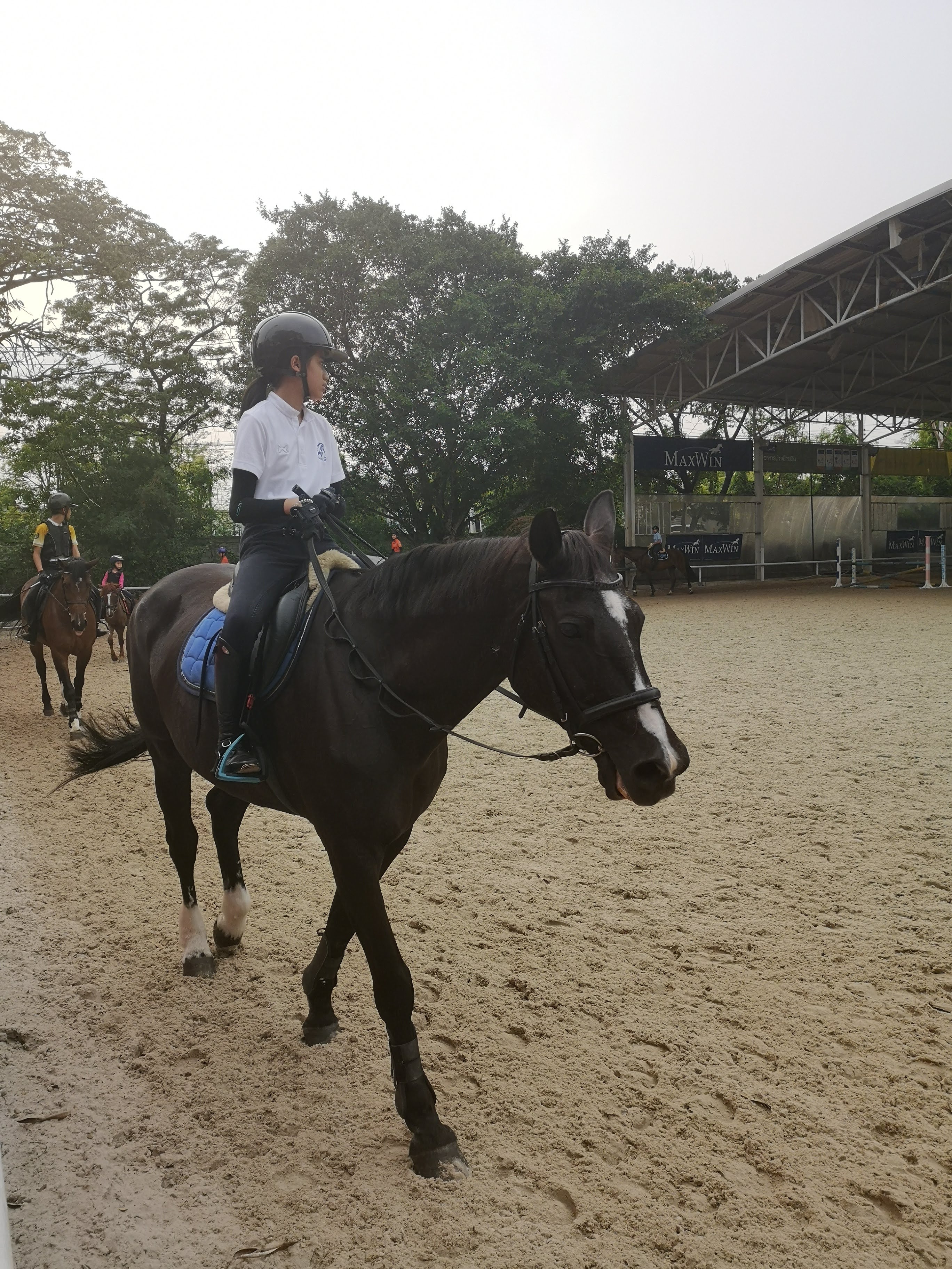 Phoenix Riding Academy (NEW)