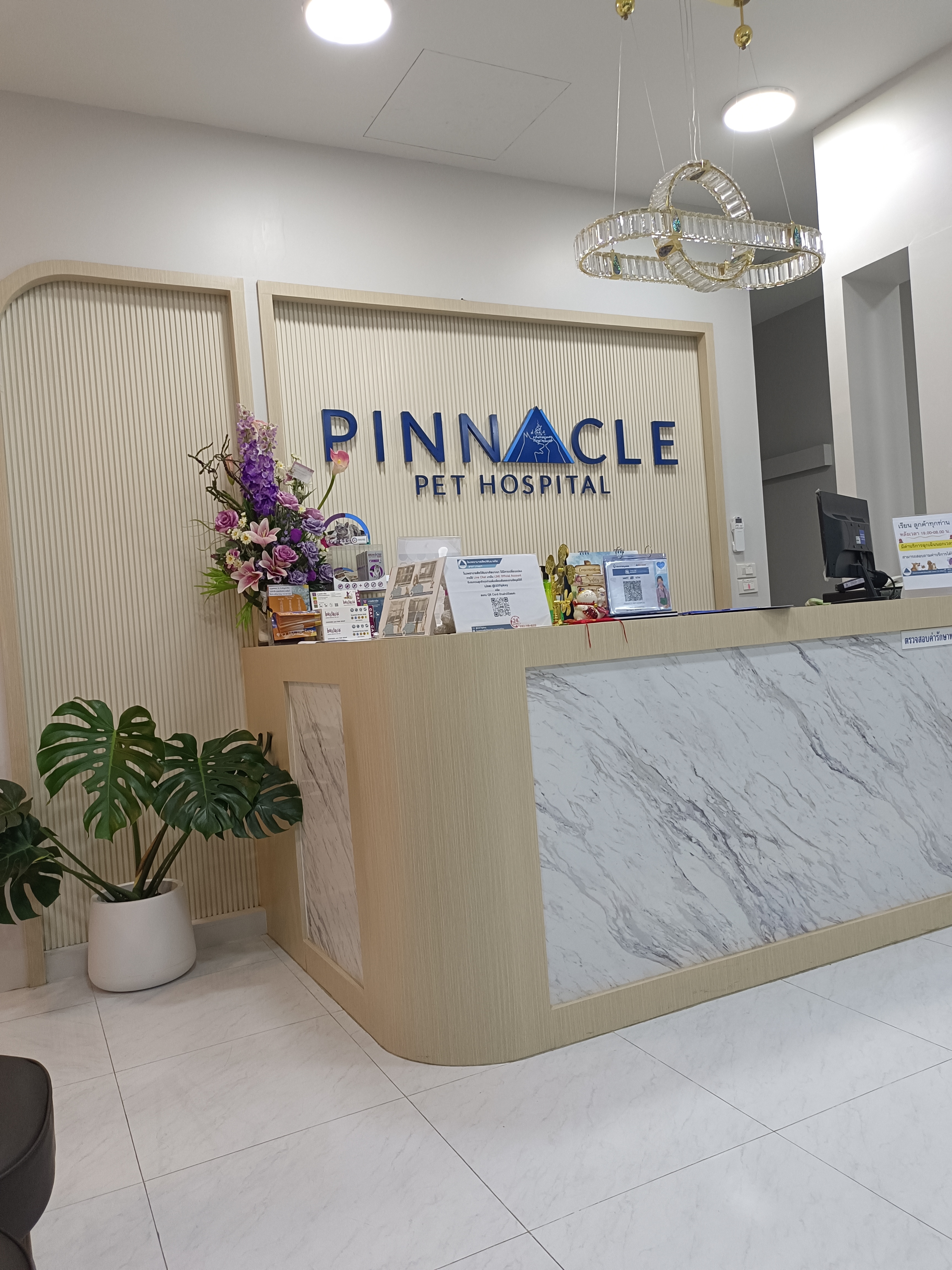 Pinnacle Pet Hospital Bangna