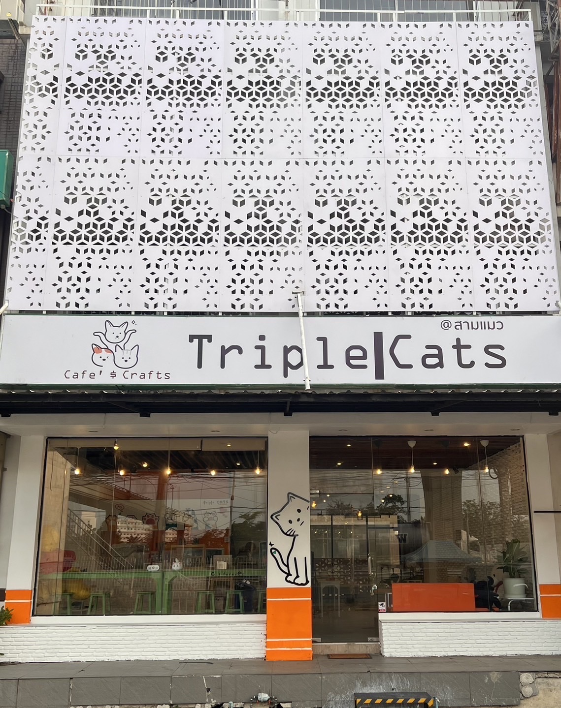 Triple cats share space & cats shelter