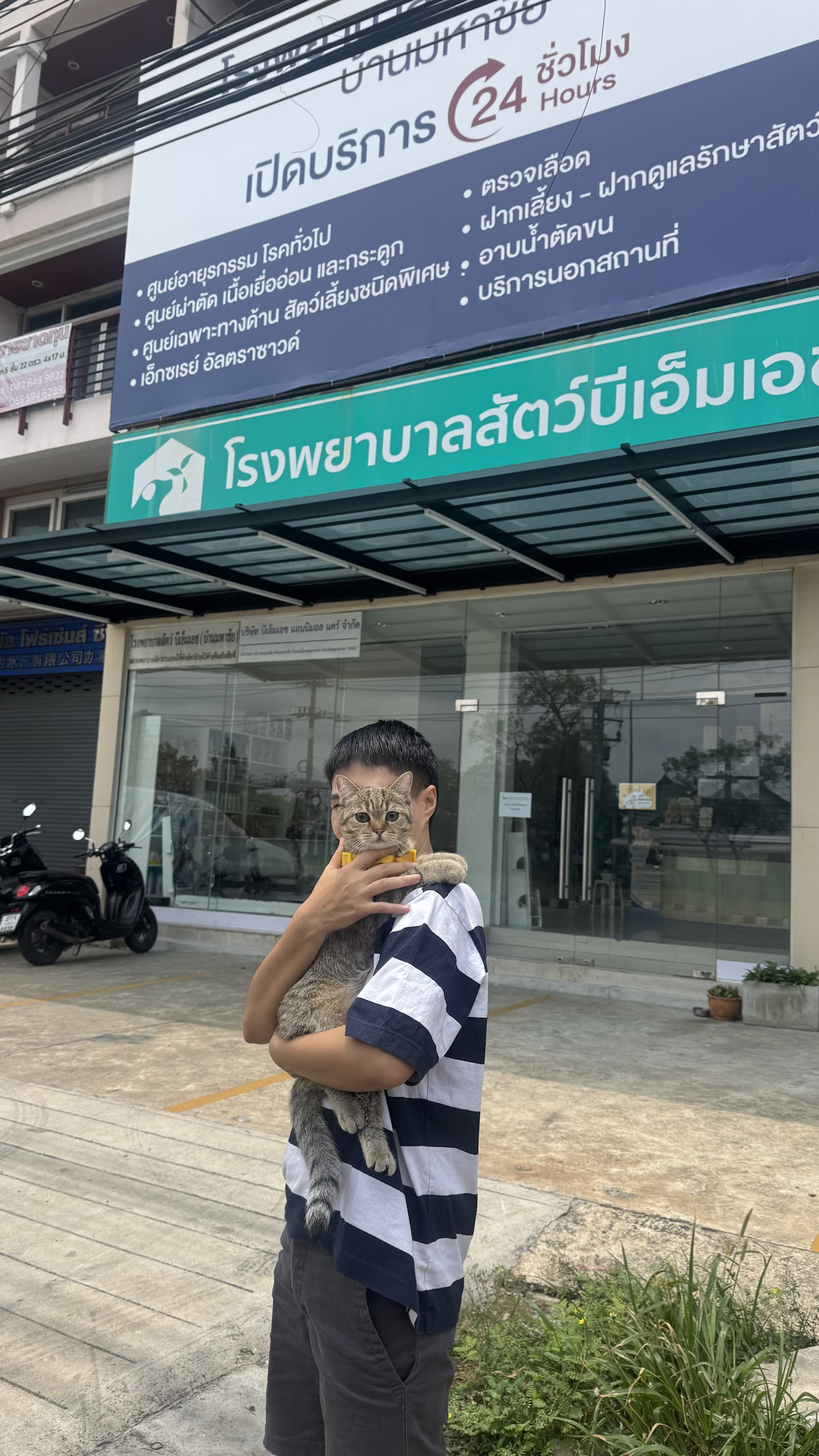 BMH (mahachai) animal hospital