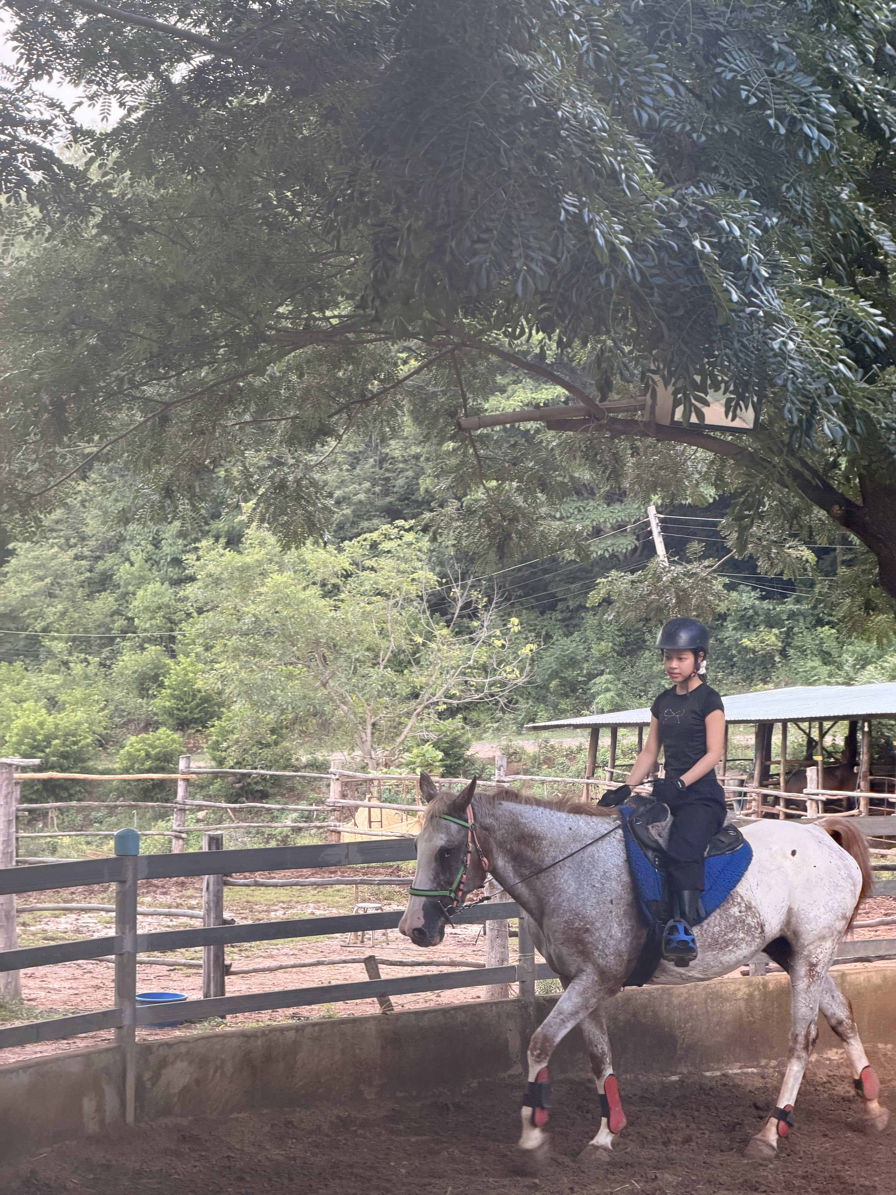 Phukodfah Ranch MCC Horse Riding