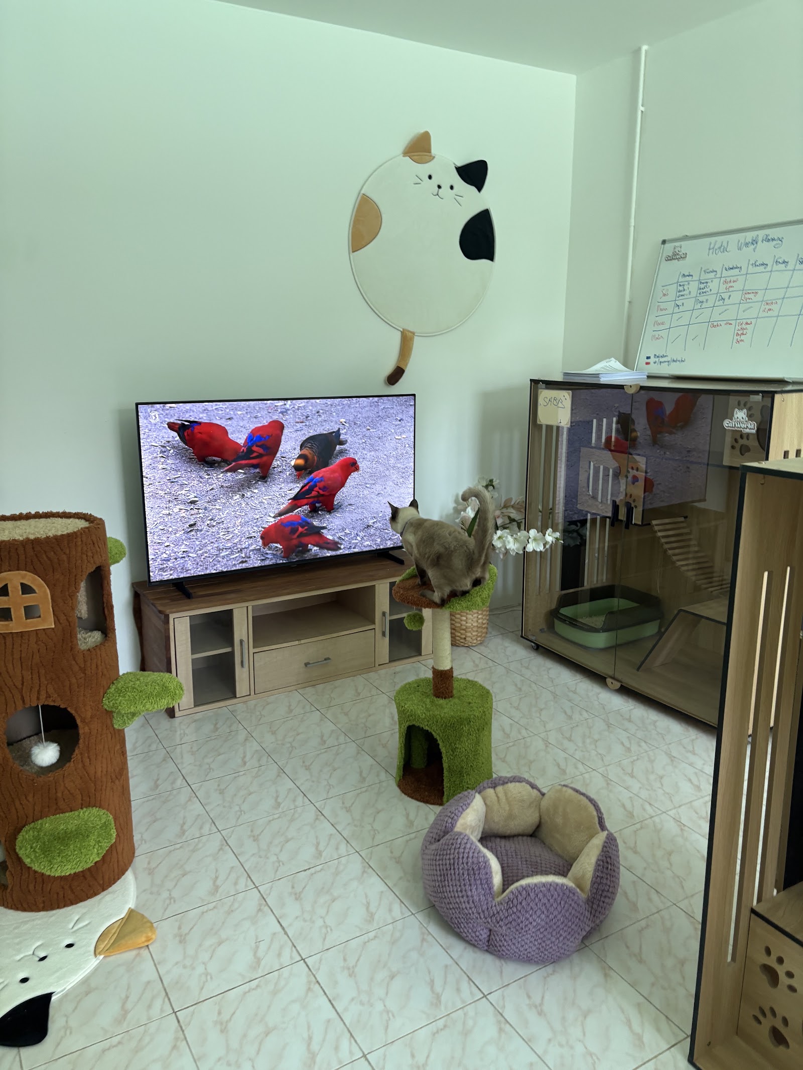 Cat Hotel by CatWorld
