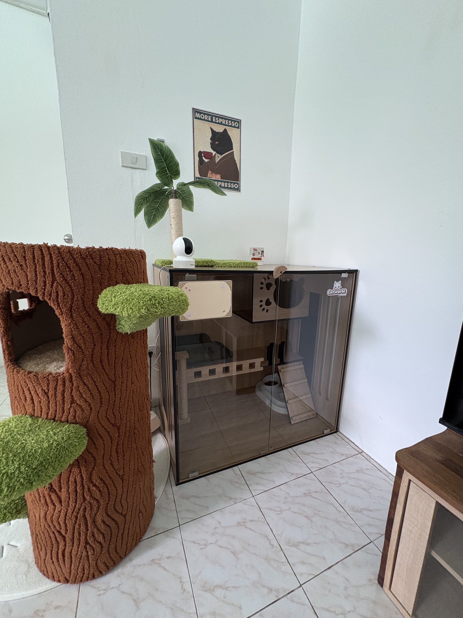 Cat Hotel by CatWorld