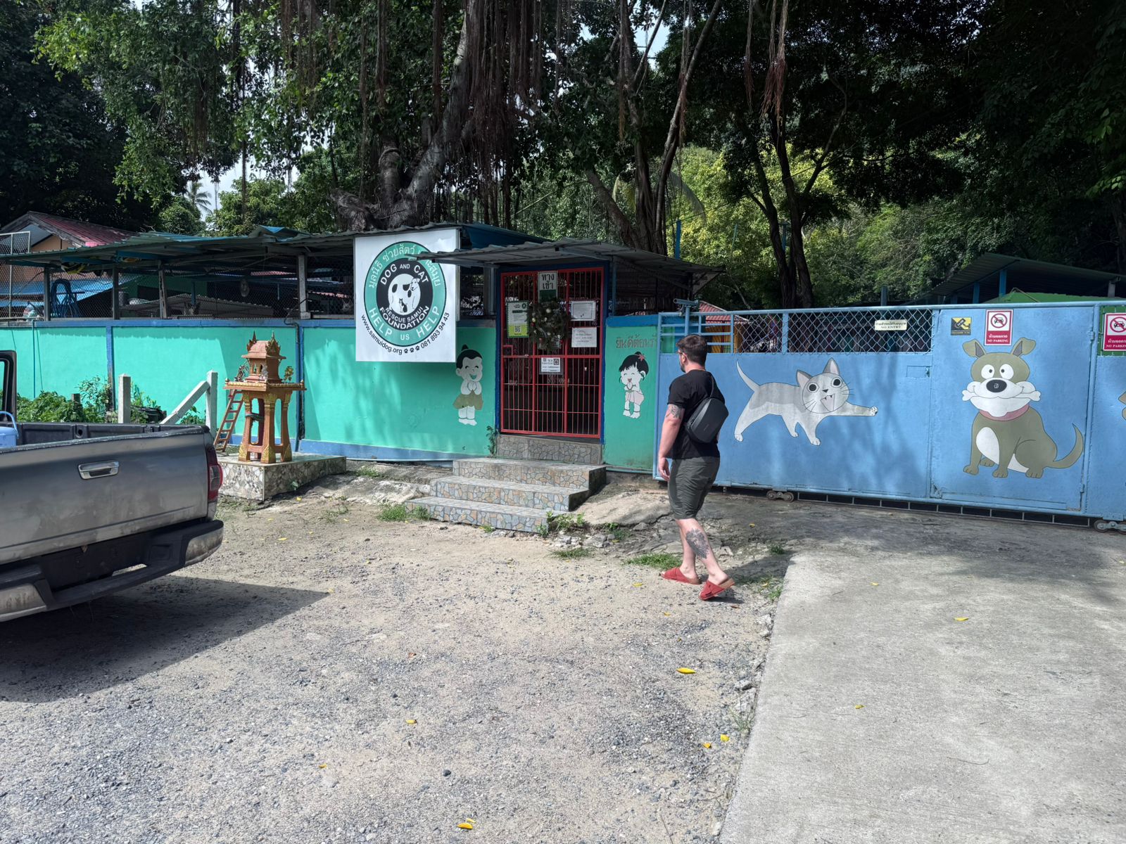 Dog and Cat Rescue Samui Foundation Ban Taling Ngam