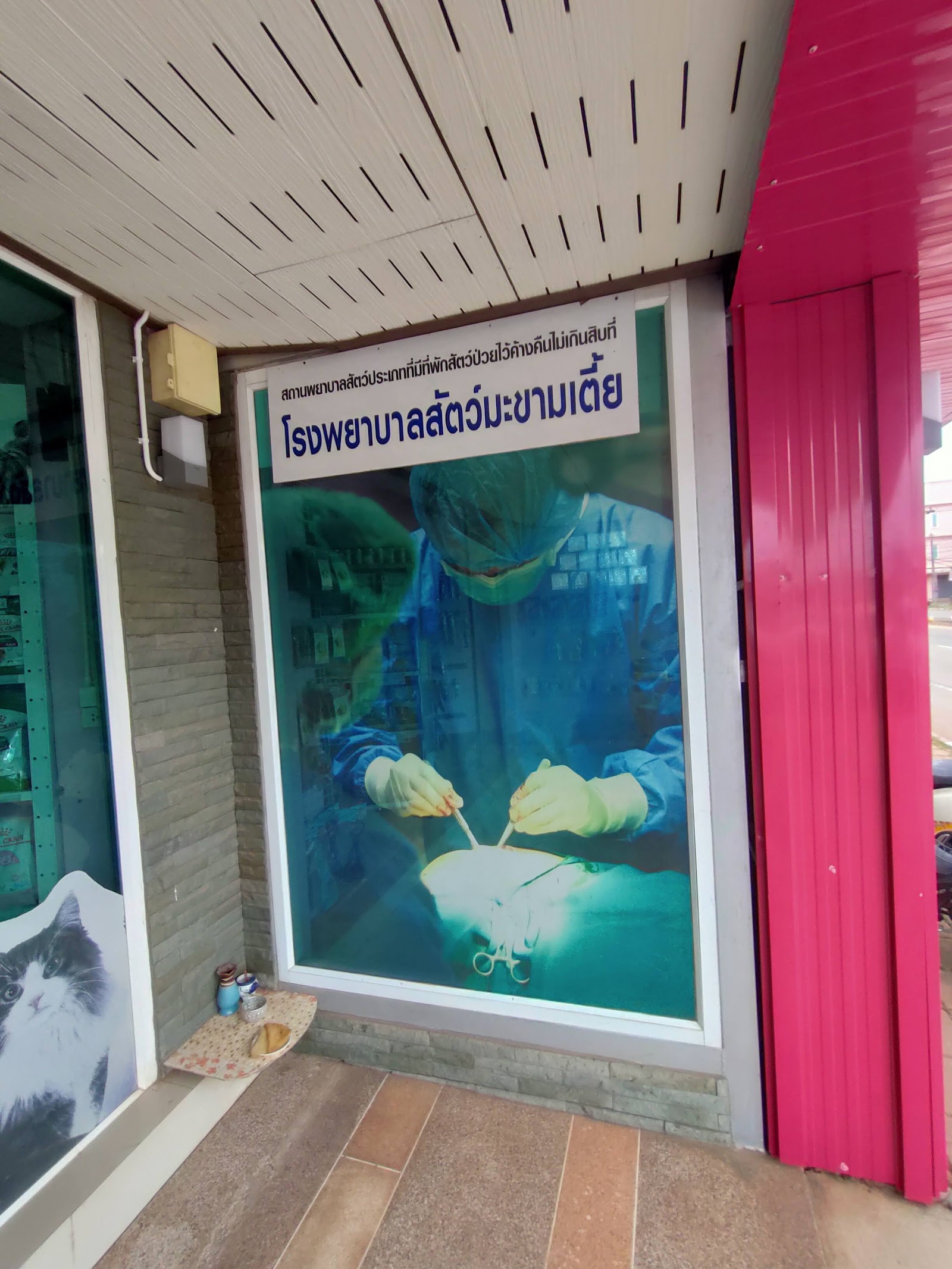 Makham Tia Animal Hospital in Nai Luk