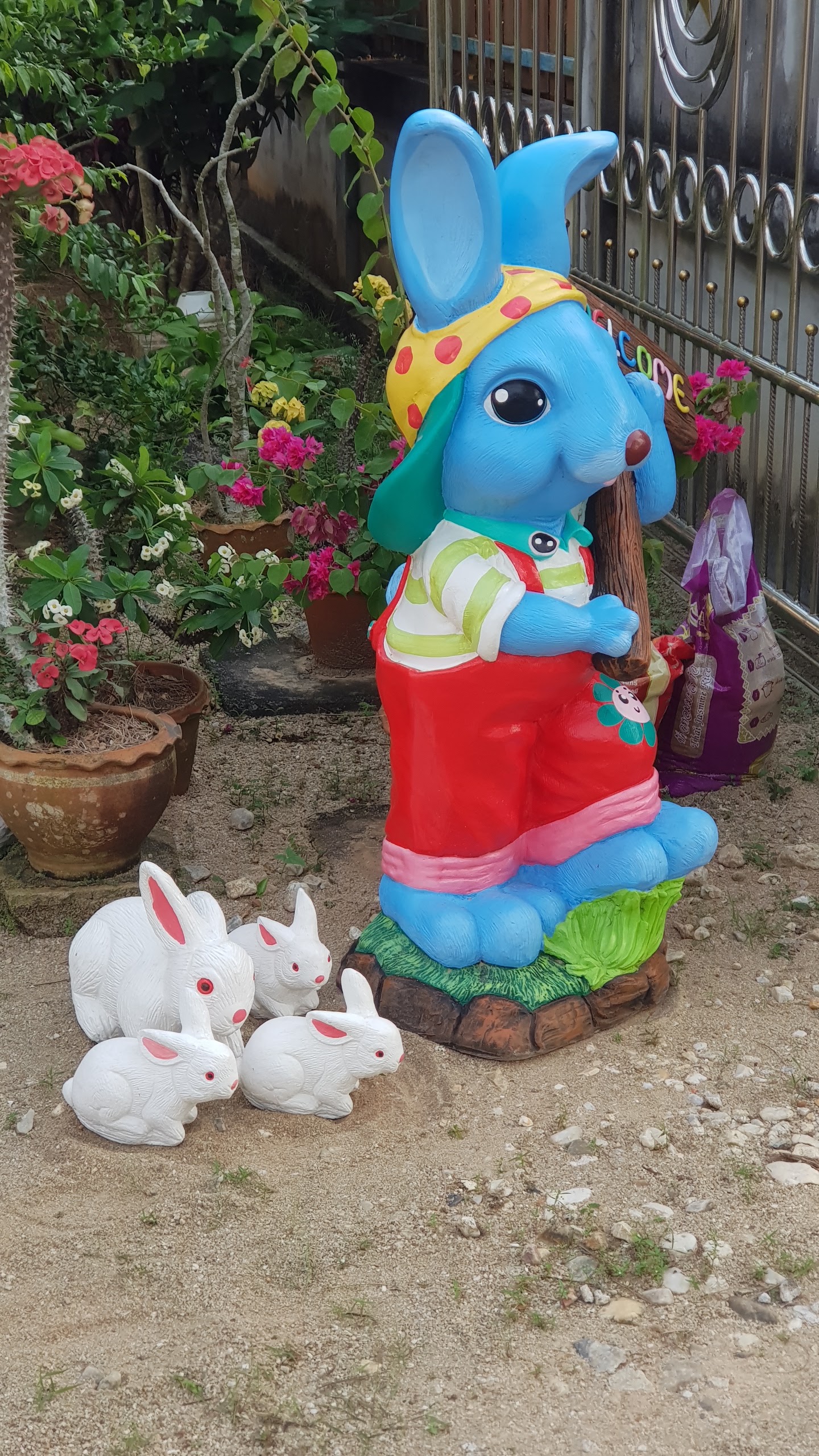Rabbit farm, house in the mountains