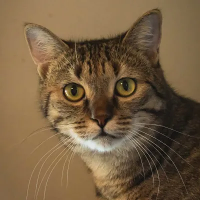 Moji