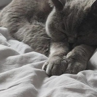 Milo