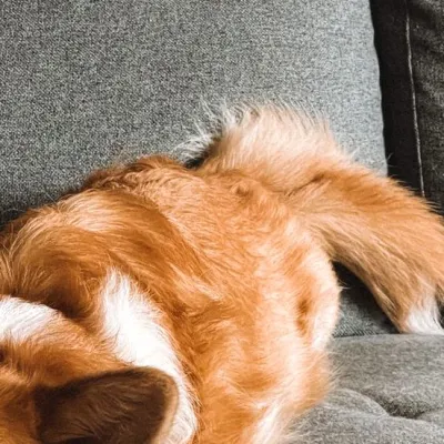 Charlie