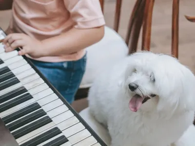 Oscar