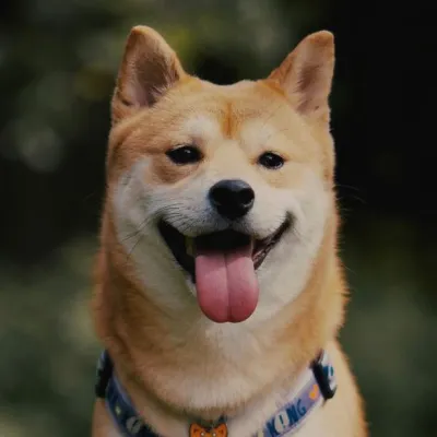 Mimi