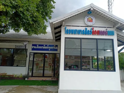 Doctor Cat Animal Hospital