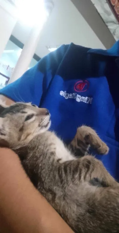 Nang Loeng Animal Clinic