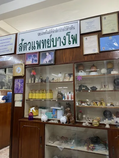 Bang Pho Veterinarian
