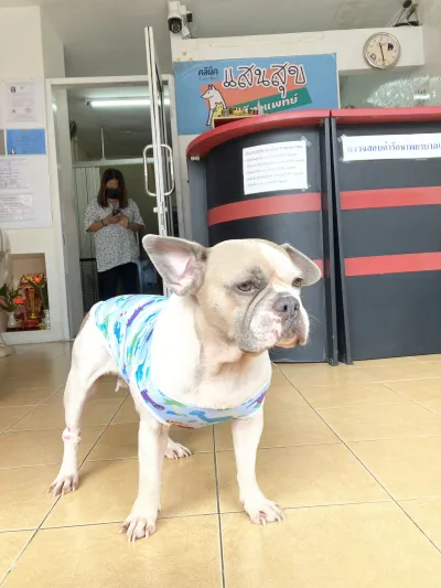 Sansuk Clinic