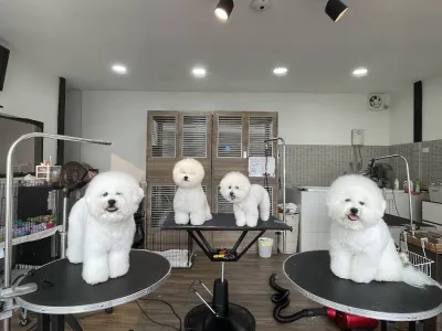 Aquadog Salon