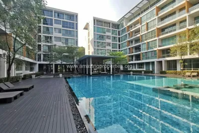 Ficus Lane