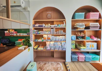 Mustcat Cat Hospital