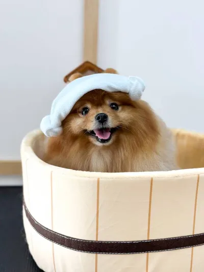 Ofu Pet Spa