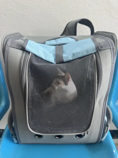 Mae Jo Veterinarian