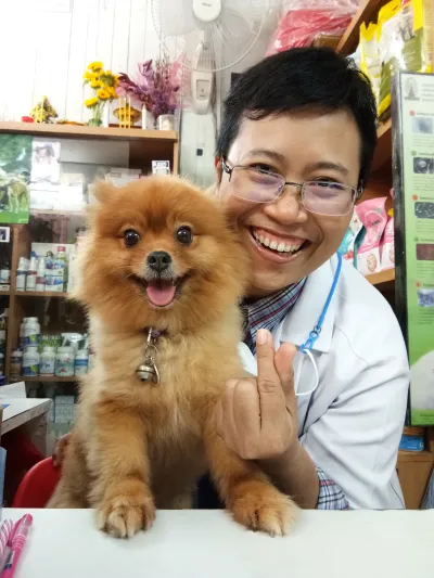 Four-legged veterinary house