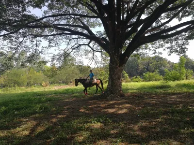 Fresh Start Barn & Equestrian Centre