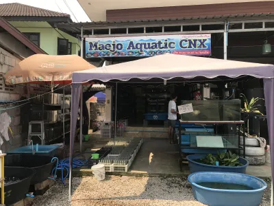 Maejo Aquatic CNX