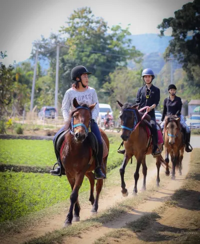 On Horse Farm