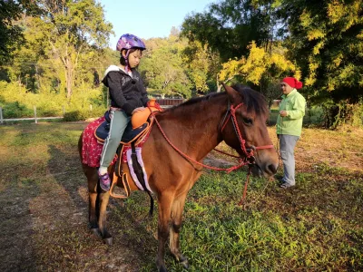 Orsen Horses