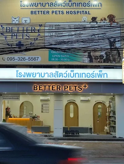 Better Pets Hospital