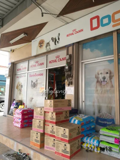 Dog Enjoy