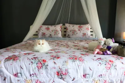 Sleep Hotel