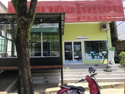 Dr. Songsak Animal Hospital - Krabi Animal Hospital