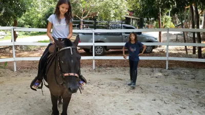 Thai Planed Horse Stalls
