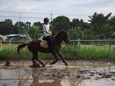 Route 2 Horse Stable
