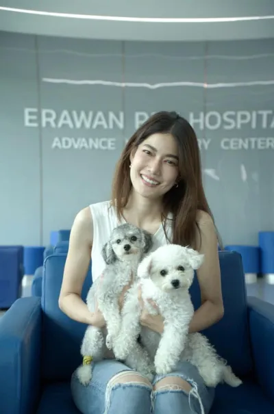 Erawan Animal Hospital Tiwanon Center