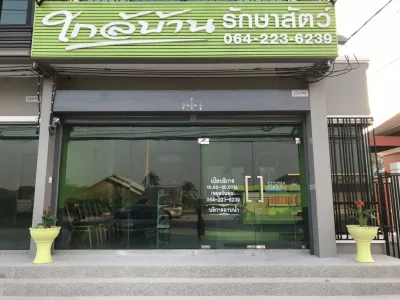 Near home Animal treatment