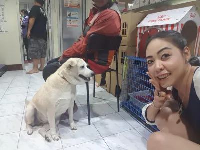 Veterinary Clinic