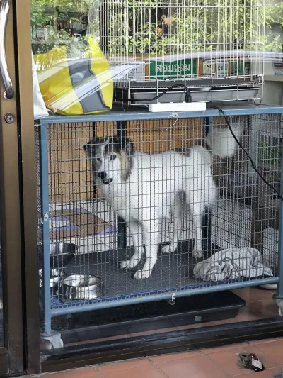 Sakorn Veterinary Clinic