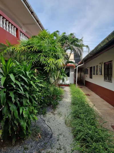 Panda hotel patong Phuket