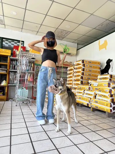 Phuket Animal Hospital