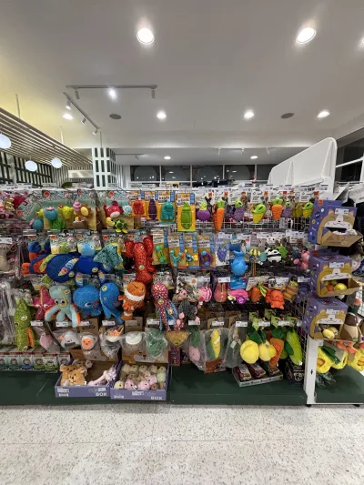 PETClub Homepro