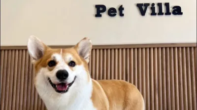 Pet Villa Rayong